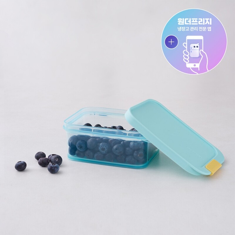 프리저핏 냉동실 정리용기 450ml