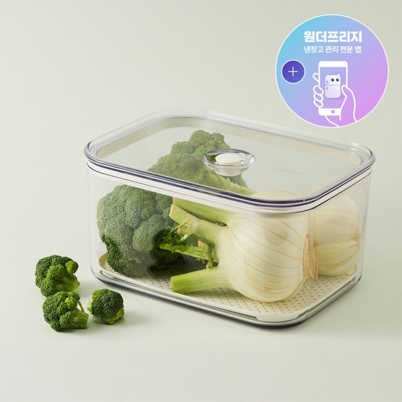 프레쉬 마에스트로 진공용기 4.2L 직사각